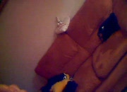 Enia fucking on table