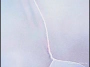 Sexy tights wearing Bianca toying her wet pussy